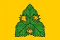 Drapeau du district