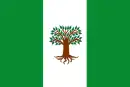 Drapeau de Pachavita