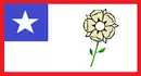 Drapeau de Pass Christian