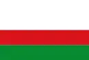 Drapeau de Piedras