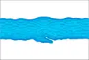Drapeau de Plios