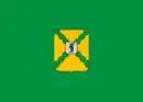 Drapeau de Pochekhonie