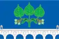Drapeau du district