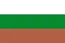Drapeau de Sáchica