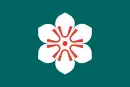 icône décorative