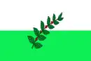 Drapeau de San Juan de Rioseco