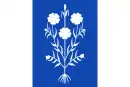 Drapeau de Sancedo