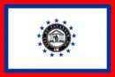 Drapeau de Savannah