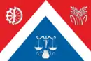 Drapeau de Saviolovski