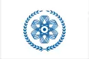 Drapeau de Seversk