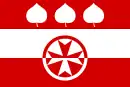 Drapeau de Slaník