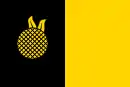 Drapeau de Stráž pod Ralskem