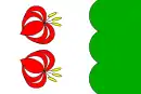 Drapeau de Svor