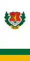 Drapeau de Töttös