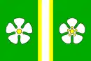 Drapeau de Těchlovice