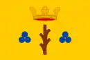 Drapeau de Třebechovice pod Orebem
