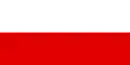 Drapeau de la Thuringe