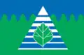 Drapeau du district