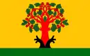 Drapeau de Tsivilsk