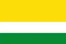 Drapeau de Valle de San Juan