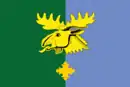 Drapeau de Vajiny