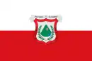 Drapeau de Venecia