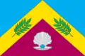Drapeau du district