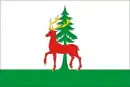 Drapeau de Ielets