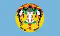 Drapeau des Crows (Montana).