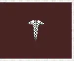 Image illustrative de l’article Surgeon General of the United States Army