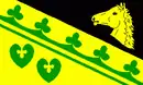 Drapeau de Mustin