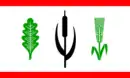 Drapeau de Ostrohe