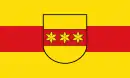 Drapeau de Rheine