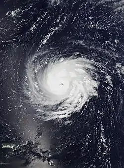 Florence à la catégorie 4 le 10 septembre.