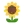 icône décorative