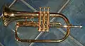 Bugle