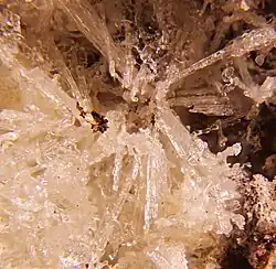 Image illustrative de l’article Fluoborite