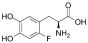 Image illustrative de l’article Fluorodopa (18F)