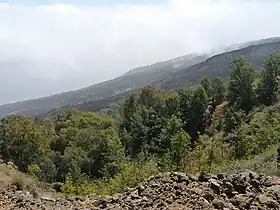 Vue de la Chã das Caldeiras depuis le sentier du monte Velha.