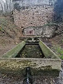 Fontaine Margot