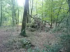 Cabane