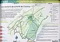 Plan de la forêt