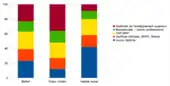 trois graphiques en barre représentant la niveau de scolarisation des personnes de plus de 15 ans ayant terminé leurs études à Belfort, en cœur urbain et dans les quartiers d'habitat social