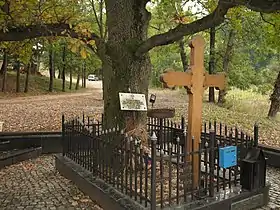 Radovanje (Velika Plana)