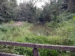 Extrémité nord