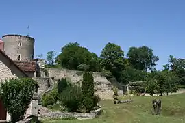 Four à chaux du XIXe siècle du gué de Coulangé, Villeloin-Coulangé (Indre-et-Loire).