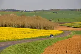 Printemps près de Logny-Bogny dans le nord-ouest.