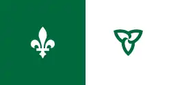 icône décorative