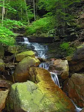 Franklin Township (comté de Bradford, Pennsylvanie)