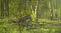 Fallen Tree, sans date
